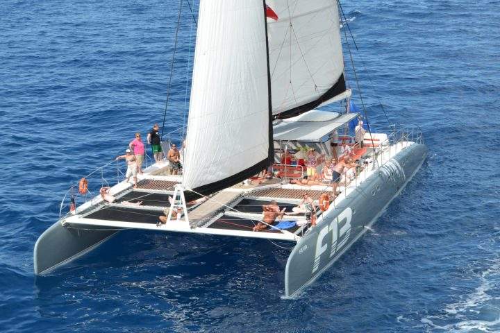 Excursión en barco a Los Gigantes en Tenerife con Freebird - 258  