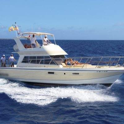 			excursion privada en tenerife para grupos grandes - Excursión en Barco Privado en Tenerife para 22 personas