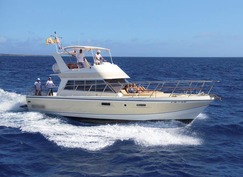 Excursión en Barco Privado en Tenerife para 22 personas