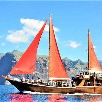 			Neptuno Tenerife Viaje en Barco a Los Gigantes desde el Norte y el Sur (1) - Excursión en barco a Los Gigantes con Shogun