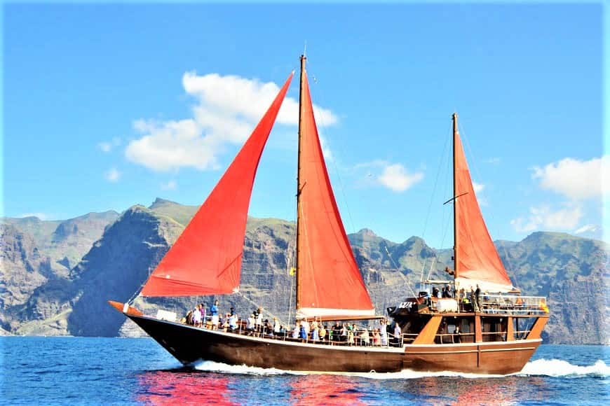 Excursión en barco a Los Gigantes con Shogun