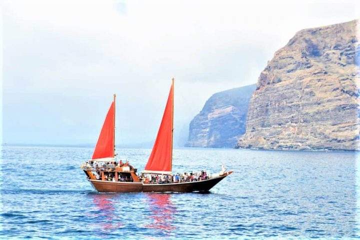 Excursión en barco a Los Gigantes con Shogun - 218  