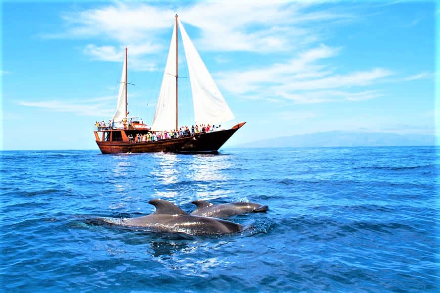 Neptuno Tenerife Viaje en Barco a Los Gigantes desde el Norte y el Sur (1)