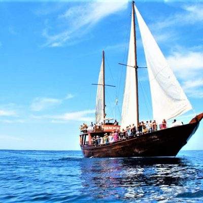 			Neptuno Tenerife Viaje en Barco a Los Gigantes desde el Norte y el Sur (1) - Alquiler de veleros desde Costa Adeje