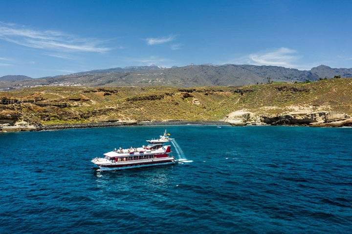 Excursión en catamarán en Tenerife hacia Los Gigantes con Royal Dolphin - 278  