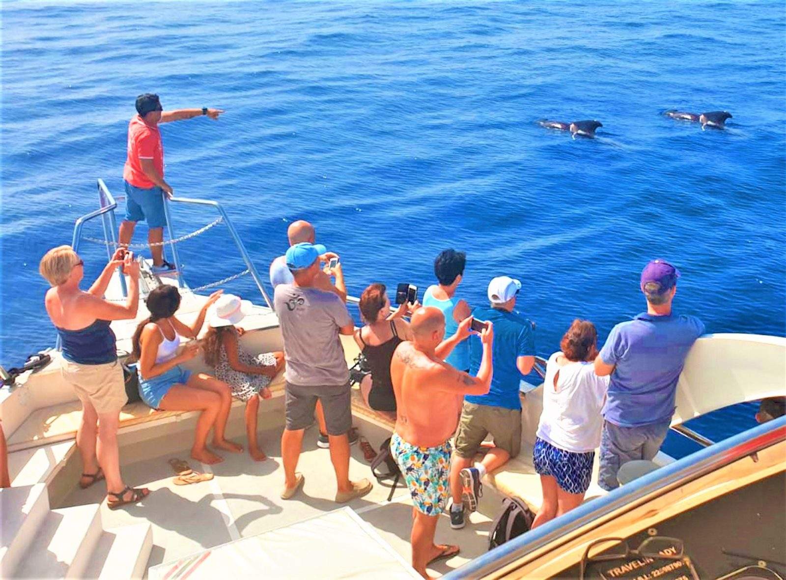 Alquiler de barcos privados con patrón en Los Cristianos Tenerife - 5