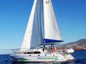 2 horas excursion eden catamaran tenerife