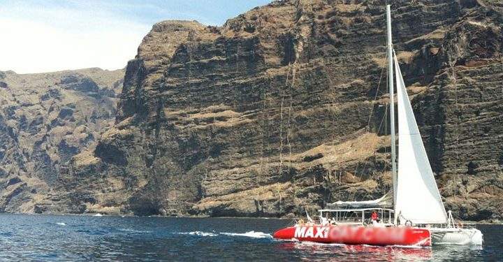 Catamaran ferð um Tenerife með Maxicat til að heimsækja Los Gigantes - 268  