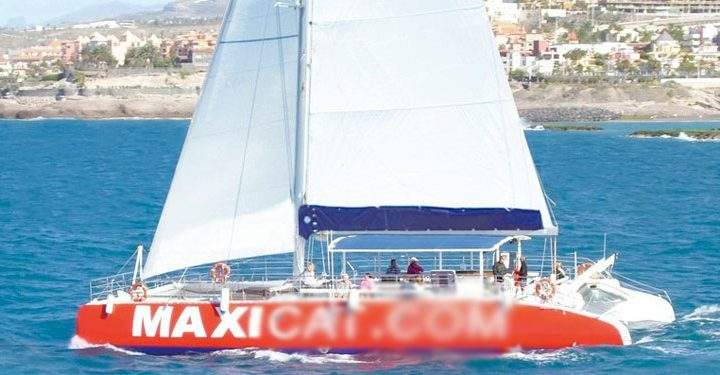 Catamaran ferð um Tenerife með Maxicat til að heimsækja Los Gigantes - 269  